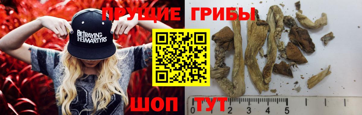 Галлюциногенные грибы ЛСД Химки